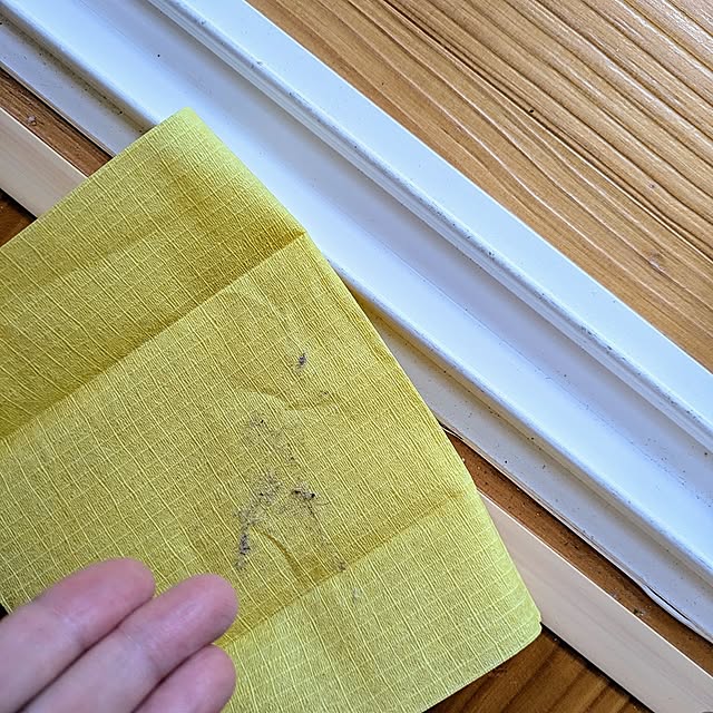 Entrance,サッサ試供品プレゼント,暮らしを整える,掃除,掃除道具 sara33の部屋