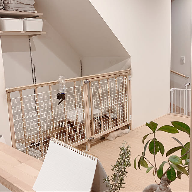 犬小屋,犬と暮らす,ナチュラル,DIY,Overview marineの部屋