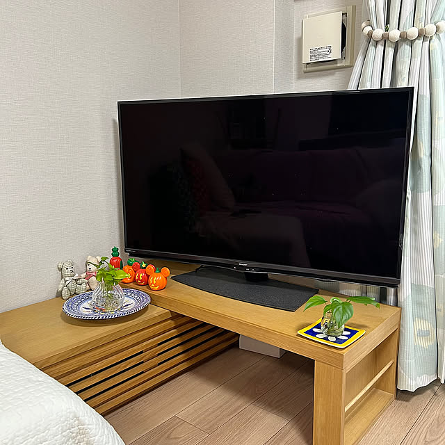 テディベア,ハロウィン,スペイン食器,水栽培,テレビボード,観葉植物,グリーン,ポトス,みどり,ポトス ライム yoyoyoの部屋