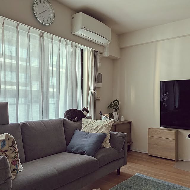 Lounge,マンション暮らし,猫のいる風景,子どものいる暮らし,すっきり暮らしたい,おうち時間,カーテン越しの光が好き,カーテン latteの部屋