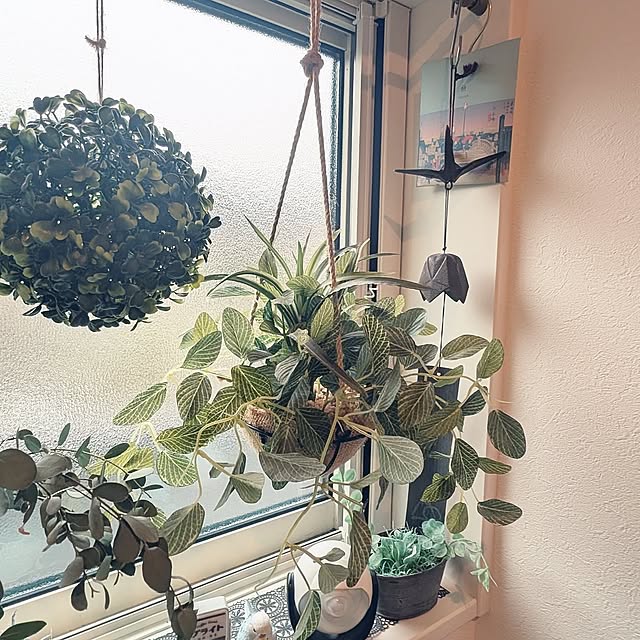 Entrance,フェイクグリーン,ナチュラルインテリア,100均,ニトリ,トイレのインテリア 8393の部屋