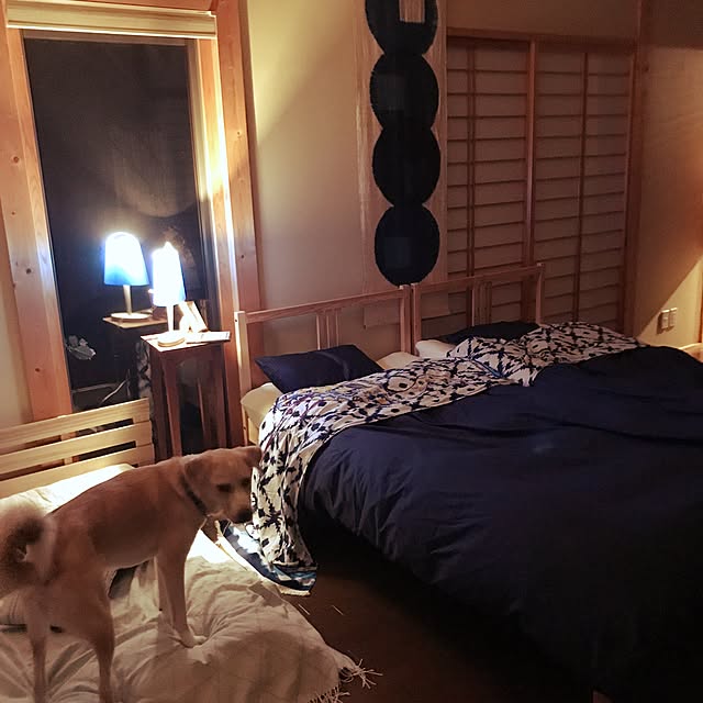 Bedroom,IKEAベッド,犬と暮らす家,築10年,ハスキーとラブラドールのミックス君,寝室は和風,デシグアル mm319の部屋