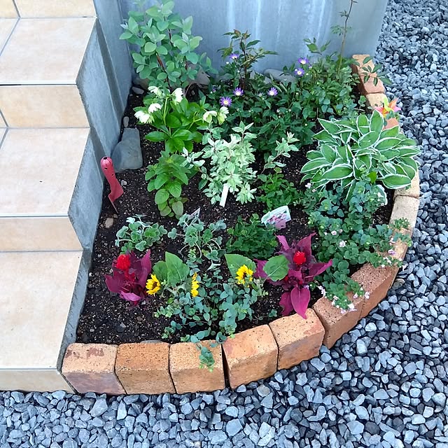 玄関前,DIY,花壇 mokukoの部屋