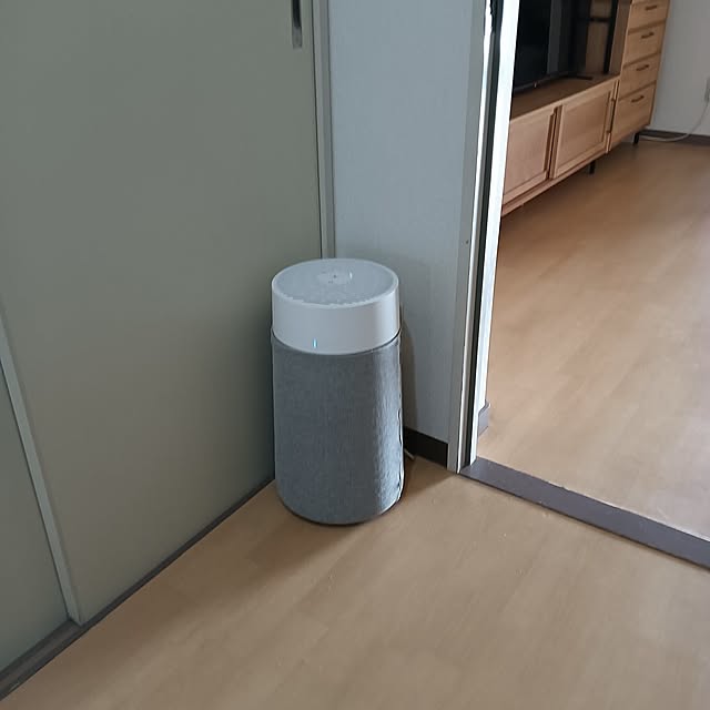 Entrance,シンプルライフ,シンプルな暮らし,シンプルな生活,健康生活,健康管理,空気清浄機,玄関まわり,ブルーエア Blue Max 3250i,ブルーエア,ブルーエア空気清浄機,Blue Max 3250i,オートモード,Wi-Fi対応,Wi-Fi対応家電,ペット 花粉 ニオイ ウイルス タバコ,ハウスダストカビ,省エネ,省エネ家電 hanachanの部屋