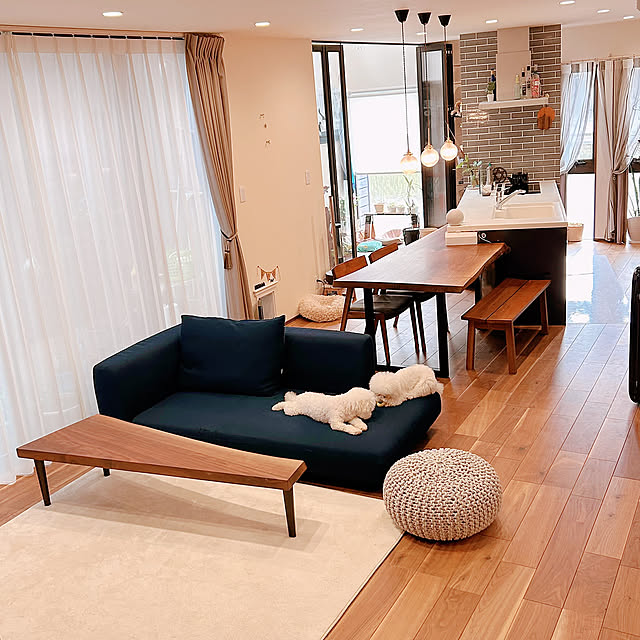 カリモクソファ,ソファ,犬のいる暮らし,ネイビーインテリア,犬と暮らす家,ペットと暮らす家,わんこドア,ペットドア,Overview,ウォールナットのダイニングテーブル,ウォールナット,一枚板のダイニングテーブル,ウォールナットの一枚板,トイプードルとビジョンフリーゼ fuafuaの部屋