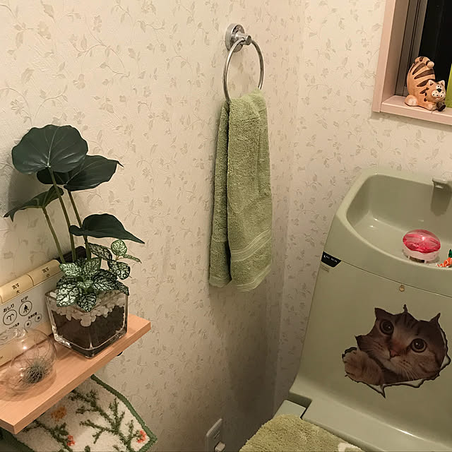 Bathroom,ニトリフェイスタオル,ニトリのフェイクグリーン,モニター当選♡,ニトリ2018トイレコーデモニター,連投ごめんなさい(＞人＜;),ニトリさんに感謝✨ Toyomiの部屋