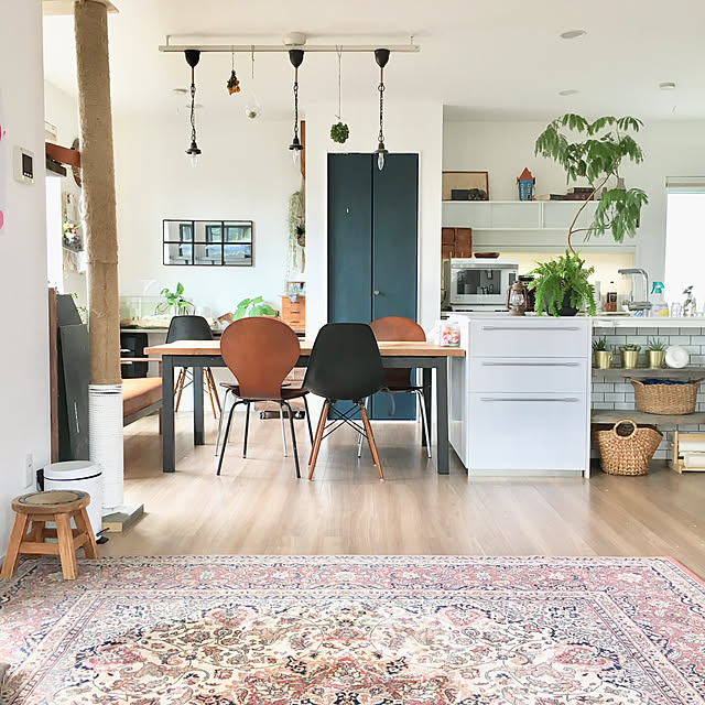 Overview,Wi-Fiルーター ,バッファロー・モニター,CONNECT,植物,DIY,子どもと暮らす,ペットと暮らす mamizoの部屋