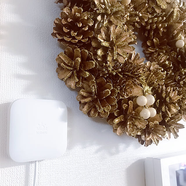 手軽にスマートホーム,快適な生活,Nature Remo,時短アイテム,スマートリモコン,Room Clipとの出会いに感謝✳︎,いつもイイね！ありがとうございます♪,ドラえもんの道具,On Walls mamの部屋