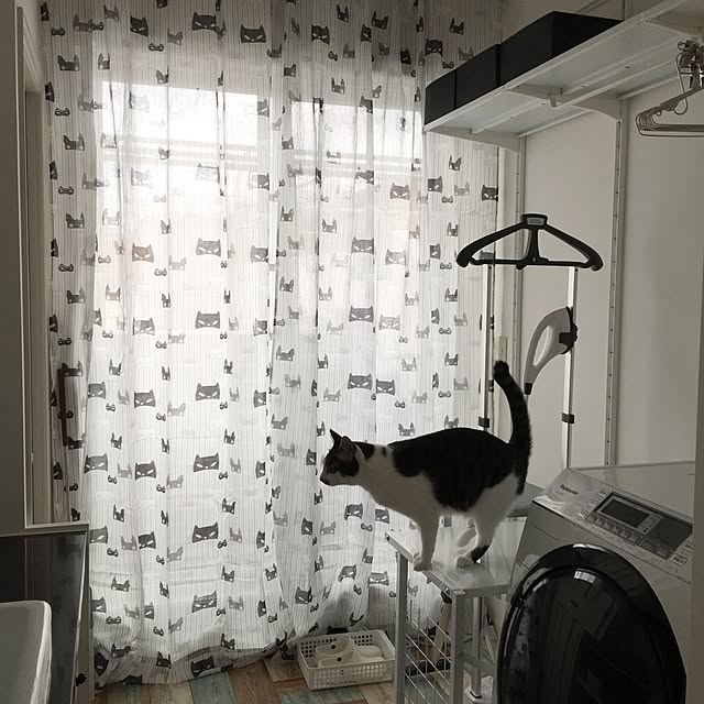 Bathroom,家事室とサニタリールームはつながってます,やっぱり猫が好き,ねこばかりすみませんm(._.)m,いつもいいねやコメントありがとう♡,猫のいる日常,ZARA HOME,グレー好き,モノトーン yuchiの部屋