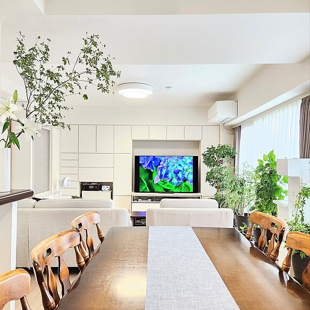観葉植物,グリーン,扇風機,花瓶,癒し,インテリアグリーン,フラワーベース,テーブルランナー,植木鉢,壁面収納,レースカーテン,Panasonic,ユリ,ダイニングテーブル＆チェア,花のある暮らし,ドウダンツツジ,初夏,物の住所を決める,キュビオス,マンション暮らし,観葉植物のある暮らし,三菱エアコン,SONY 有機EL65型,ウォーターサーバーのある暮らし,サーキュレーター扇風機,おうちをキレイに保つ習慣,東京インテリアのカーテン,コメントお気遣いなく♡,Overview love1017の部屋