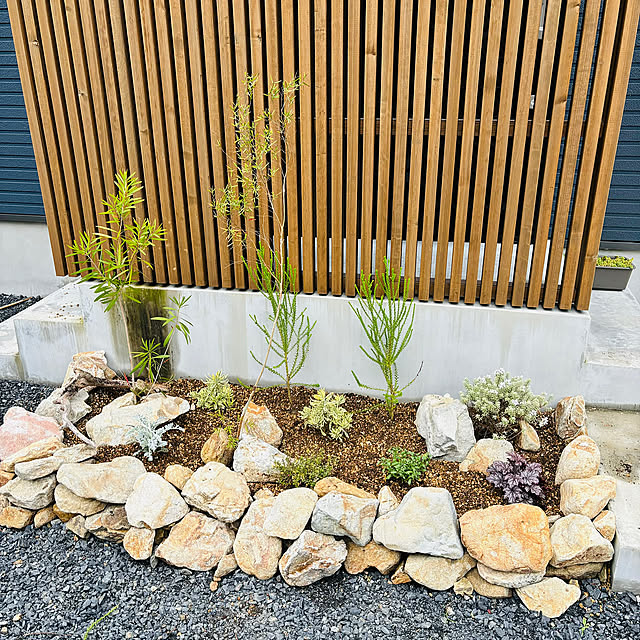 Entrance,花壇 手作り,花壇,植物,観葉植物,庭,DIY,多肉植物 Mitsuroの部屋