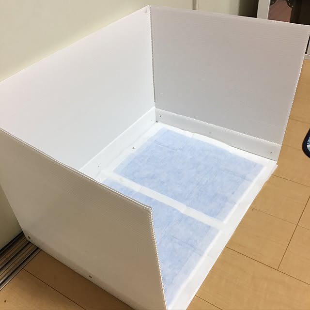 Lounge,ペットと暮らす家,ペットトイレ,多頭飼い,ペット,ペットインテリア,DIY aoi.mipの部屋