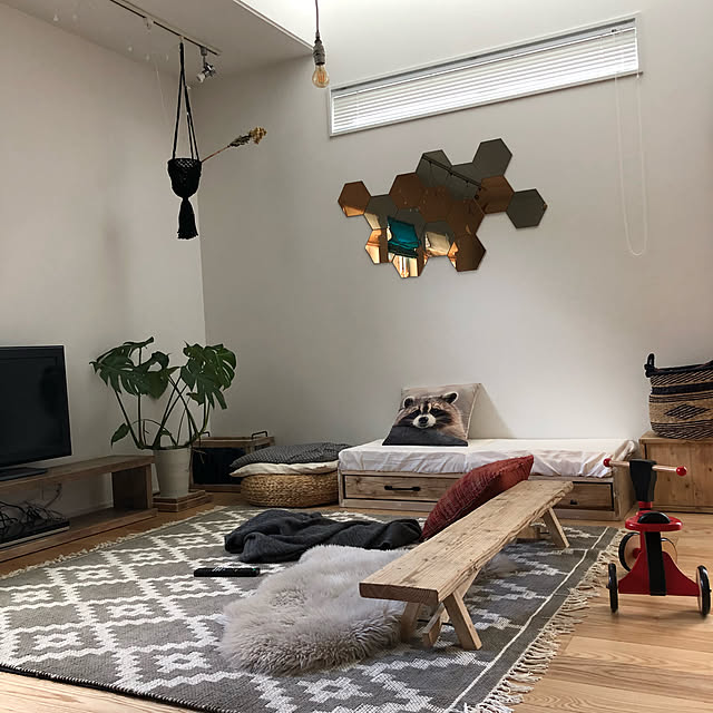 Lounge,ダクトレール,カゴ,アクタス,モンステラ,ラグ,テレビ台,ニトリ,DIY,IKEA,古材 nkの部屋