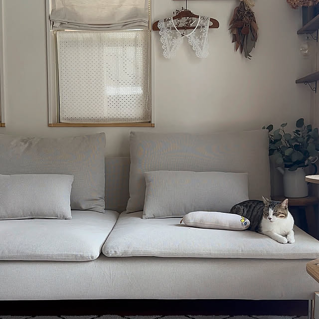 Lounge,ソーデルハムン3人掛け,ソーデルハムン,IKEAのソファー,ナチュラルアンティーク,猫のいる暮らし kokkomachaの部屋
