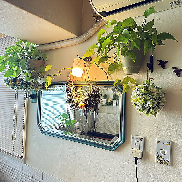 On Walls,複数枚投稿,ミラー,フラワーボール,フライングリース,植物のある暮らし,ヤマギワ照明,三日月リース,手作りのある暮らし,お気に入りのミラー,陶器製のスイッチプレート,ニチベイウッドブラインド,ポトス ライム,フラワーボール手作り,三日月リース手作り,フライングリース手作り,壁掛け植物ポット mizucchiの部屋