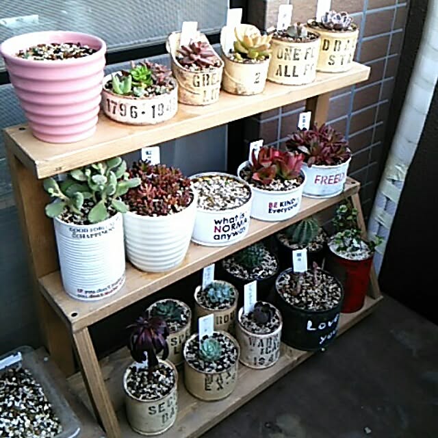 My Shelf,多肉植物,DIY,リメ缶,ベランダガーデニング,端材,スタンプ,100均,DAISO- DS250の部屋