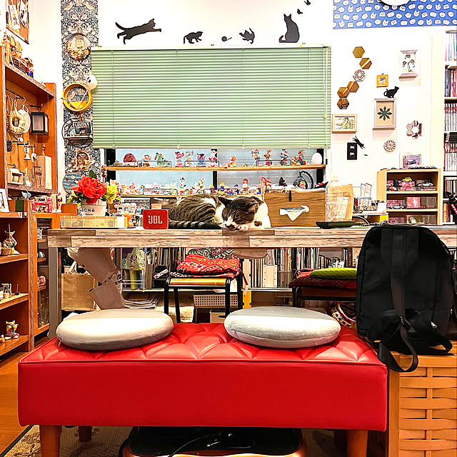 丸型クッション,ダイソー低反発クッション,ベンチソファー,食卓に乗る猫,朝から寝る猫,猫のいる風景,猫のいる暮らし,ねこのいる部屋,白キジのん,Lounge jijiの部屋