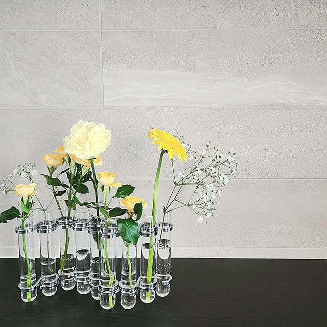 My Shelf,好きなインテリアブランド,ダルトン,ダルトン雑貨,ダルトンの花器,DULTON,DULTON雑貨,試験管,試験管花瓶,試験管アレンジ,試験管フラワーベース,試験管セット,MYFLOWERLIFE,生花のある暮らし,生花を飾る 75の部屋