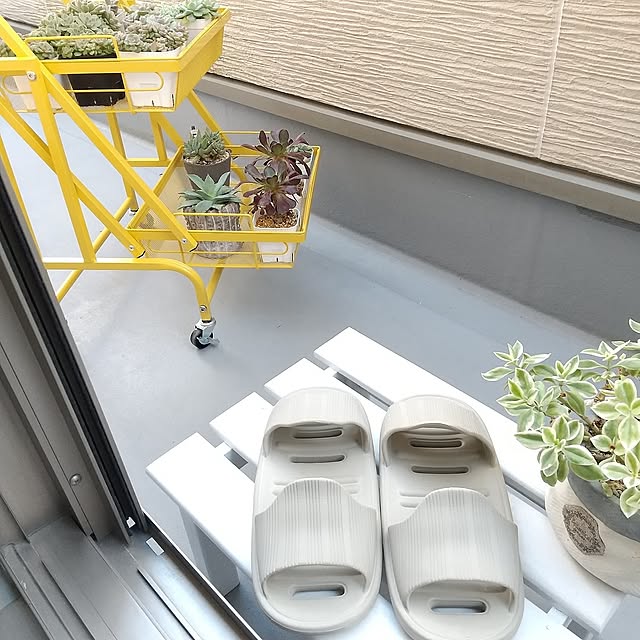 Entrance,ベランダ,多肉植物,3COINS,ペイント,ダルトン,ベランダガーデン,ガーデン雑貨,キッチンワゴン,黒法師,時短,アガベ雷神,ストレスフリー,ベビーサンローズ,買ってよかったもの,コーナンオリジナル鉢,両履きスリッパ,330円 meiの部屋