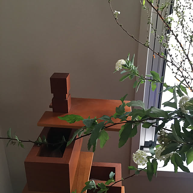 白いお花,タリアセン,フランクロイドライト,スタンドライト,窓辺,花のある風景,清楚,小花,可愛い,春を待つ花,小手毬,雪柳,Lounge happy-sachiの部屋