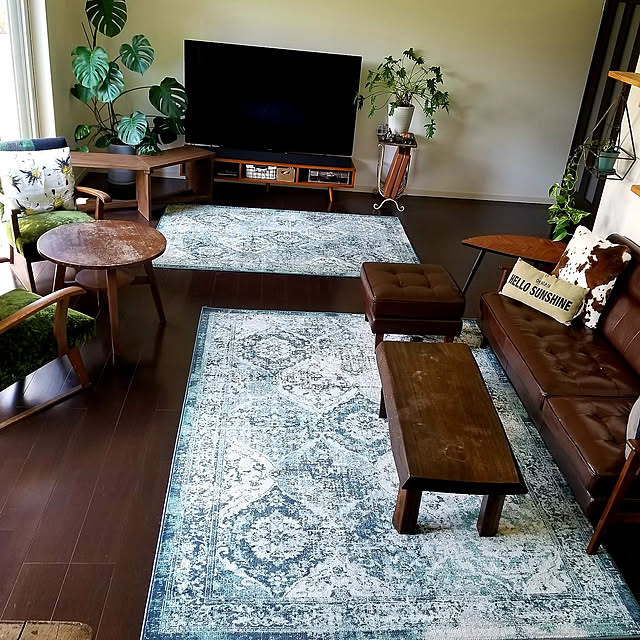 Lounge,ラグ,IKEA,ヴォンスベク,観葉植物 ymmtの部屋