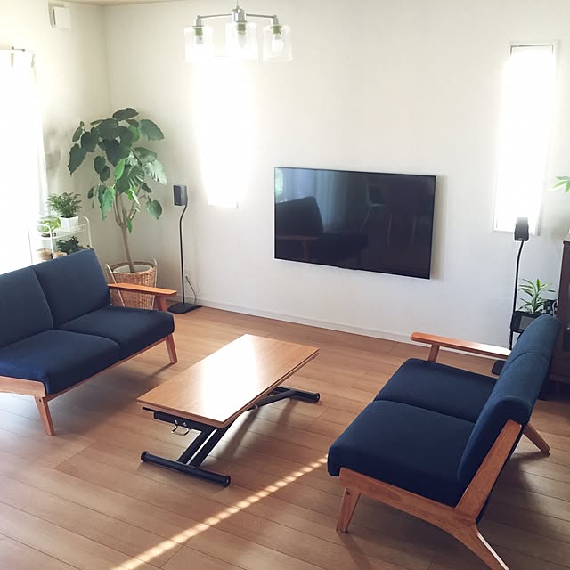 Lounge,Francfranc,BOSEスピーカー,昇降テーブル,観葉植物,北欧,壁掛けテレビ,ソファ,IKEA,100均,セリア,ダイソー,メダカ鉢 Kisaの部屋