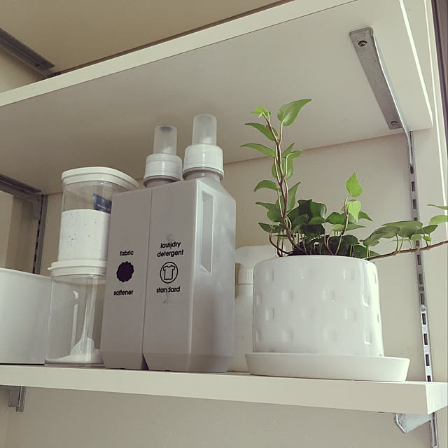 洗濯のモチベーションをあげる,住友林業平屋,観葉植物,観葉植物のある部屋,Bathroom yukichi3の部屋