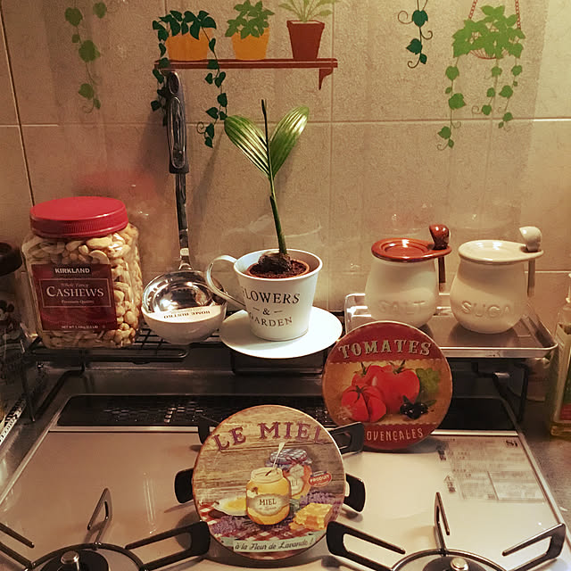 Kitchen,観葉植物,カインズホーム,スリコ,いいね♪ありがとうございます♡,セリア,ダイソー鍋敷き,ダイソー素焼きポット masamiの部屋