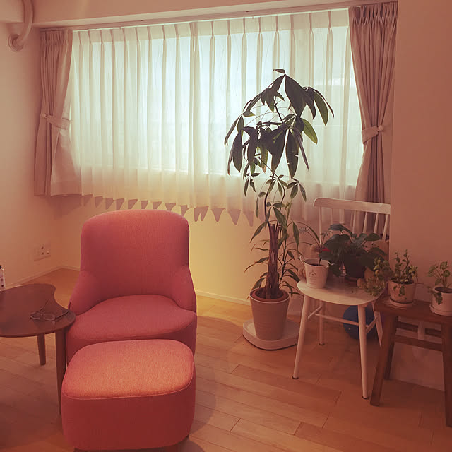 Lounge,グリーン増やしたい♪,観葉植物のある部屋,リノベーション,おひとりさま時間,大好きな空間,unico,unico ソファ,お気に入り♡ prin-loveの部屋