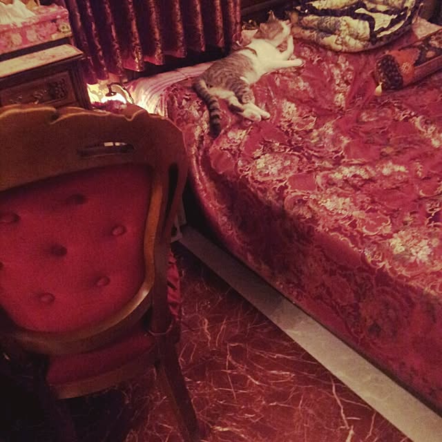 Bedroom,猫,オリエンタル,輸入壁紙,猫のいる部屋,寝室セルフリフォーム中,レッドルーム,DIY,フランス製,大理石調タイル,シノワズリー,フロアタイル貼り替え,床リフォーム,NO CAT,NO LIFE❤️ emmyyの部屋