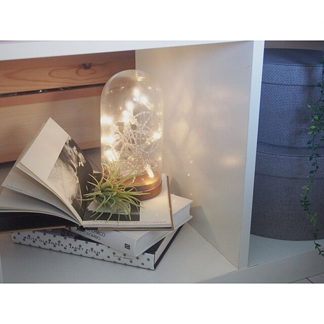 My Shelf,間接照明,ガラスドーム,北欧,IKEA,一人暮らし,インテリア,ディスプレイ yukey.mの部屋