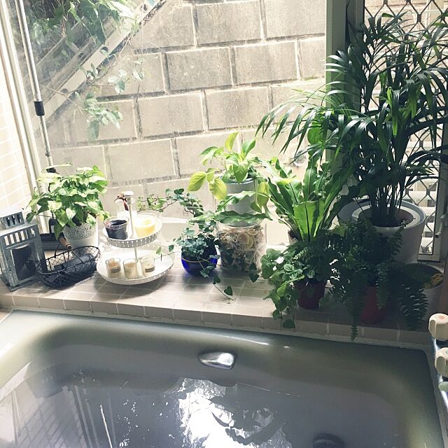 Bathroom,ヤンキーキャンドル,ボタニカル,サボン,キャンドル,観葉植物,IKEA Tomokoの部屋