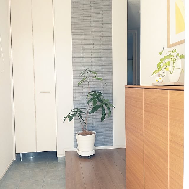 Entrance,癒し,エコカラット,暮らしを楽しむ,心地よい暮らし,グリーンのある暮らし,観葉植物 tan5の部屋