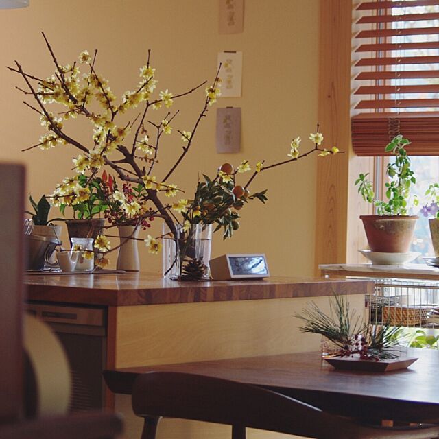 庭の花,花のある暮らし,アアルトベース,蝋梅,ダイニングテーブル,お正月,キッチンカウンター,枝もの,Lounge sugomoliの部屋