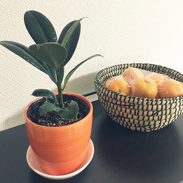 My Shelf,バングラデシュの籠,観葉植物,Daiso,ナチュラル,100均,雑貨 aaluchuuの部屋