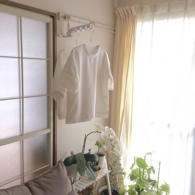 リビング,部屋干し,賃貸,ニトリ,室内干しシャツハンガー５連フック,On Walls Kaneyukiの部屋