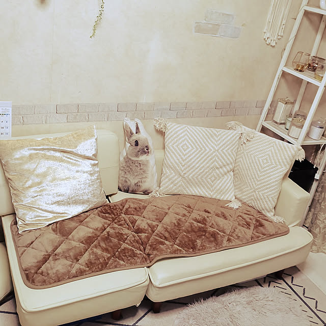 Lounge,いつもいいねやコメありがとうございます♡,カメラマーク消し,ニトリ,Daiso yokomokoの部屋
