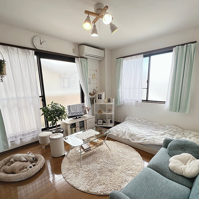 ナチュラル,一人暮らし,1K,築20年以上,雑貨,ドライフラワー,salut!,正方形,観葉植物,Overview Shimachanの部屋