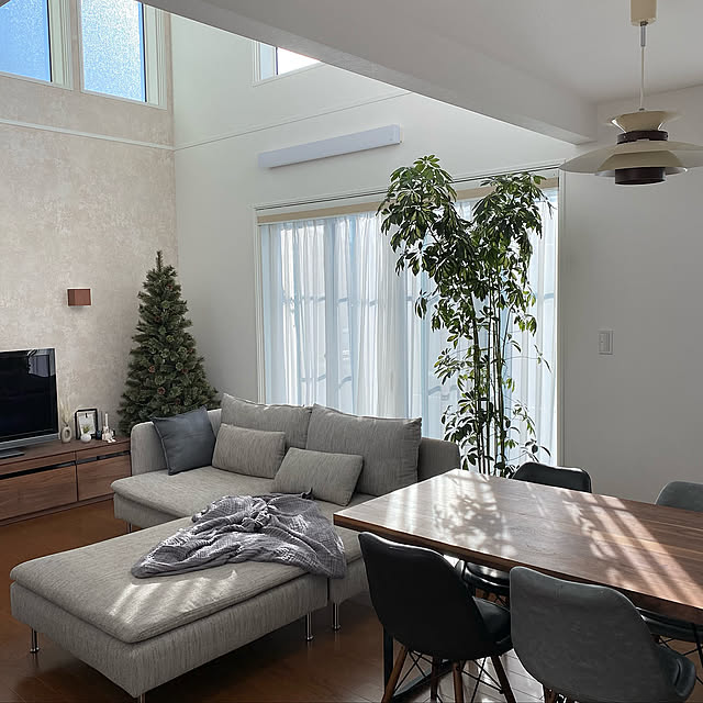 ソファ,一条工務店i-cube,一条工務店,アイキューブ,吹き抜けのある家,ヌードツリー,グリーンのある暮らし,Lounge nashichanの部屋