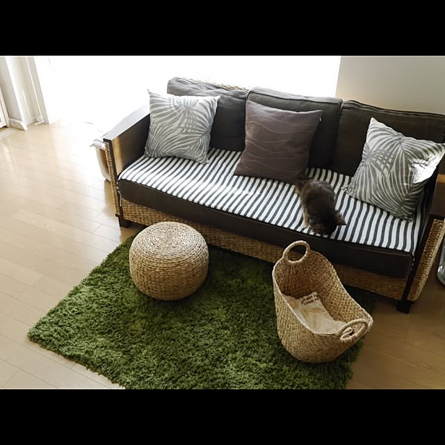 Lounge,ウォーターヒヤシンス,ニトリ,愛犬との生活☆,北欧,ナチュラル,シンプル,ブログ,ブログ更新♥︎︎∗︎*ﾟ,ニトリクッションカバー emibeiの部屋