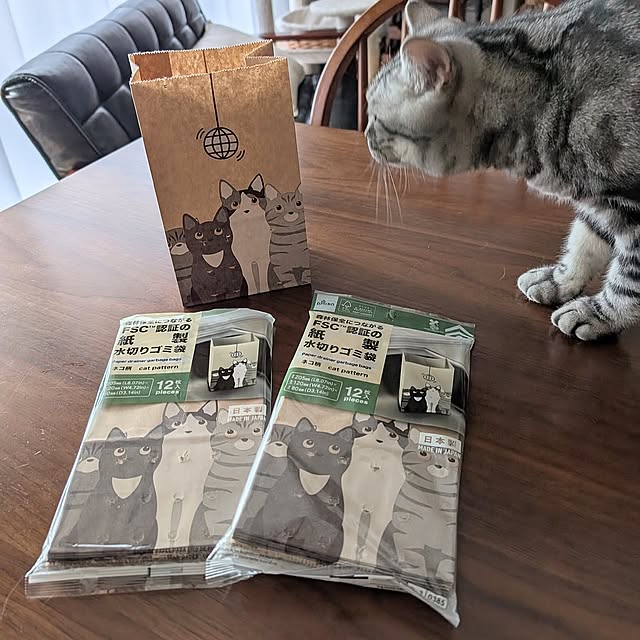 My Desk,100均アイテム,猫と暮らす家,猫との暮らし,紙製水切りゴミ袋,FSC認証,Daiso lovepeaceの部屋