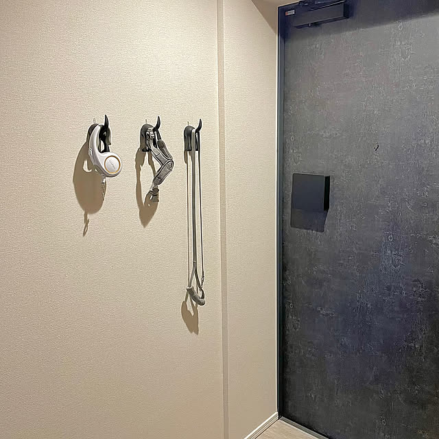 いぬのいる生活,マンションインテリア,IKEA,ポメラニアン,towerシリーズ,Entrance Mの部屋