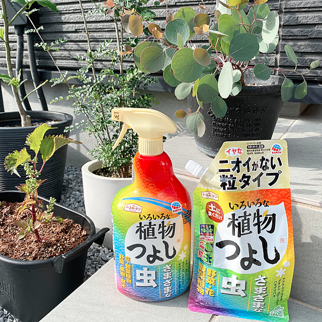 モニター当選ありがとうございます♡,いろいろな植物つよし,アースガーデン,害虫対策,植物のある暮らし,ガーデニング,ナチュラル,植木鉢,グリーン,グリーンのある暮らし,アース製薬,ナチュラルな暮らし,子どものいる暮らし,観葉植物,Entrance shiho-home.の部屋