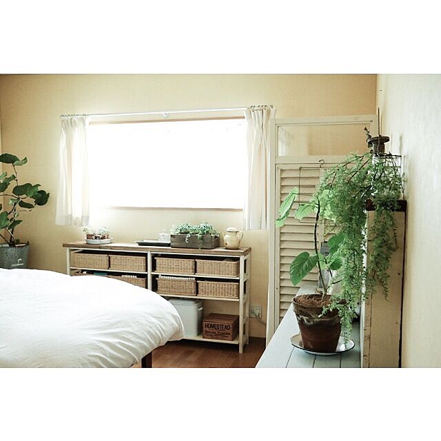 Bedroom,DIY,植物のある暮らし,グリーンのある暮らし,グリーン makoroの部屋