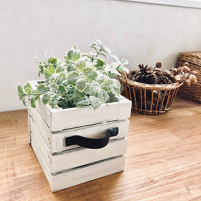 My Desk,ニトリのフェイクグリーン,2019.1.23,植木鉢カバー,セリアの取っ手,ミニすのこ,すのこDIY,フォロワーの皆様に感謝♪,いつもいいねやコメありがとうございます♡ kakamiの部屋