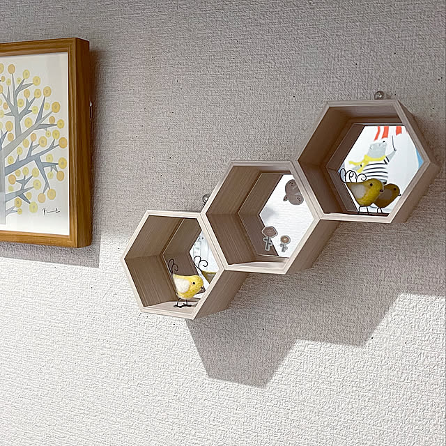 ヘキサゴンシェルフDIY,材料はセリア,上手にコメント出来なくてすみません,ボチボチ頑張るよ,セリアで購入した物,ありがとうございます,出会いに感謝♡,出会いを大切に♡,『RCカントリー倶楽部☆』,ハタキ倶楽部,ちょいちょい倶楽部,気持ちは前向き,Entrance honpoの部屋