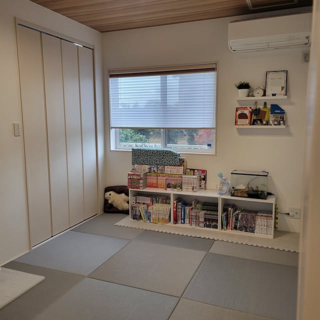 My Shelf,グレーインテリア,たたみの部屋,たたみのある暮らし,カラーボックス,本棚,ウォールシェルフ,IKEA,ジョイントマット,ジョイントマット木目調,こどものいる暮らし,宿題スペース,小学生男子,カーペット掃除,掃除中,イモリさん♡,アカハライモリ,歴史好き,ホワイト×グレー,ホワイトインテリア maruの部屋