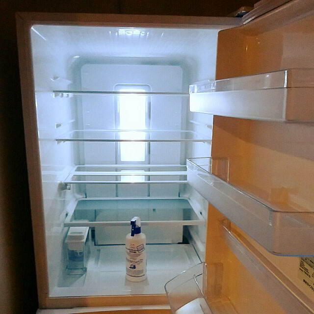 大掃除,冷蔵庫,パストリーゼ kousanaの部屋