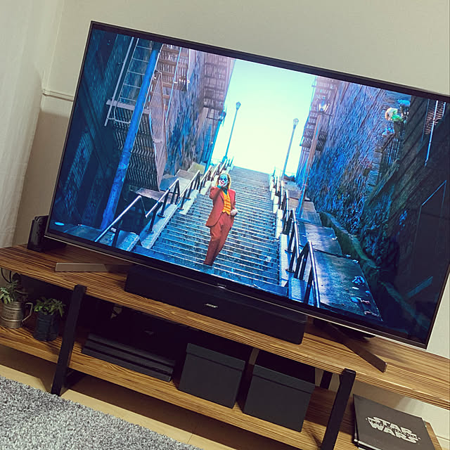 SONY,ゲーム機,テレビ周り,テレビ台,テレビボード,インダストリアルインテリア,ブルックリンスタイル,多肉植物,観葉植物,映画パンフレット,PS4PRO,SWITCH,4Kテレビ,BOSE,Bose Solo 5,BRAVIA,Joker,一人暮らし,ホームシアター,映画好き,映画鑑賞,Lounge KTTTYの部屋