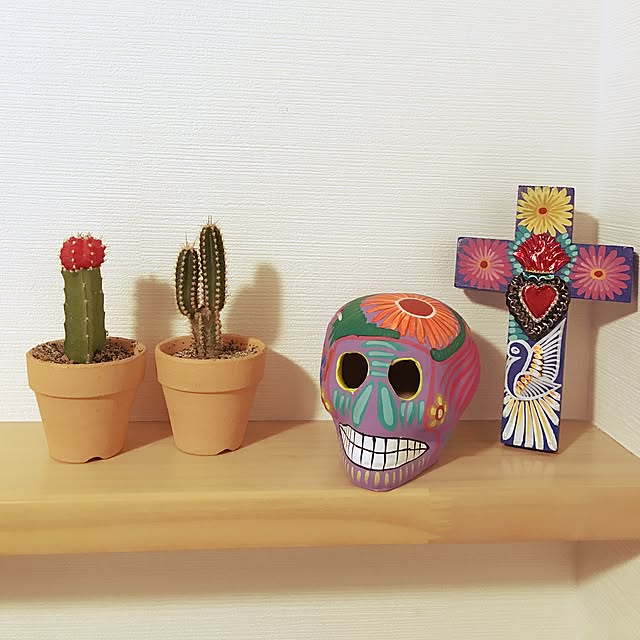My Shelf,サボテン,メキシコ,白い家,海,サーフ,surf marthaの部屋